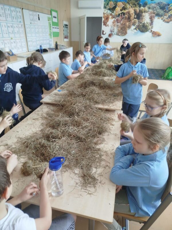 Razem możemy więcej