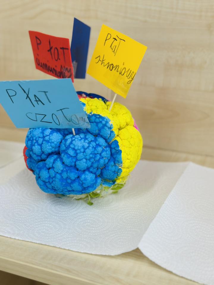 Młodzi odkrywcy badają tajemnice mózgu!