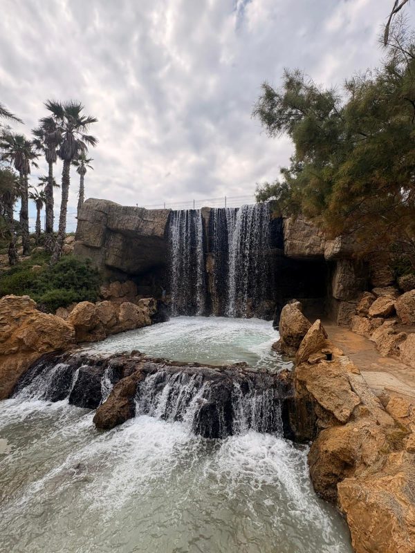 W Parc del Palmeral