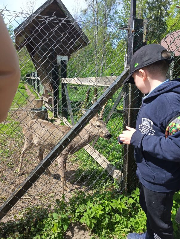 Klasy 1-3 KSP na wycieczce w Białowieży